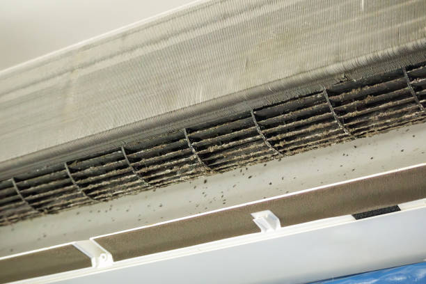 Best Ductwork Cleaning Services  in Evanston, WY